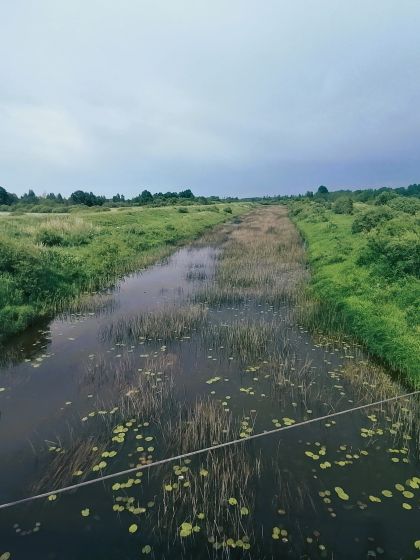IMG_20240529_161511