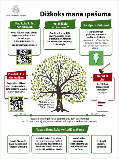 INFOGR_dizkoks_2021_page-0001 (1)