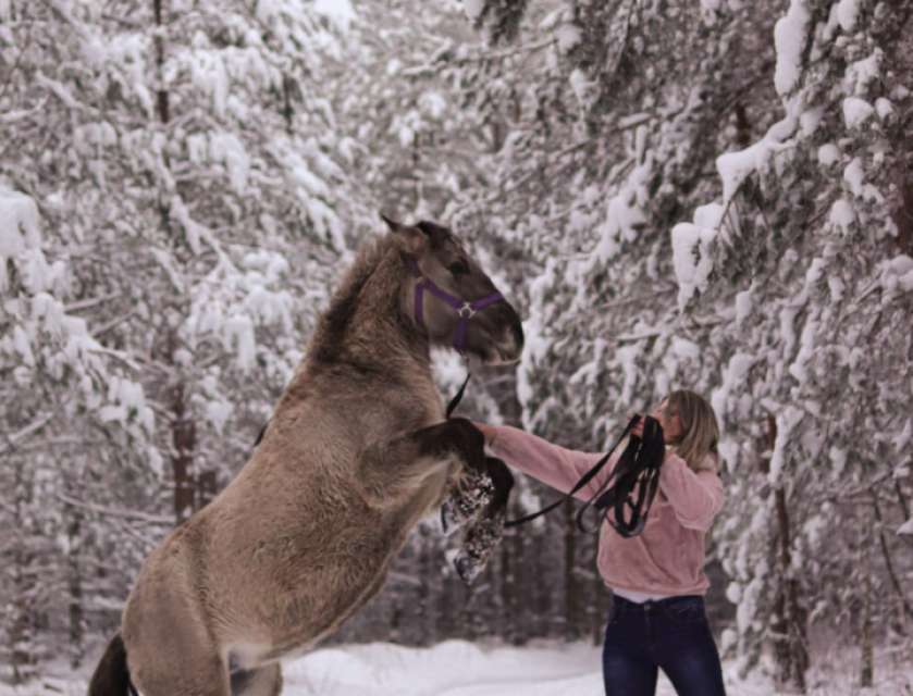 Horseback riding at 