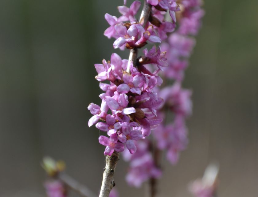 Pārgājiens18